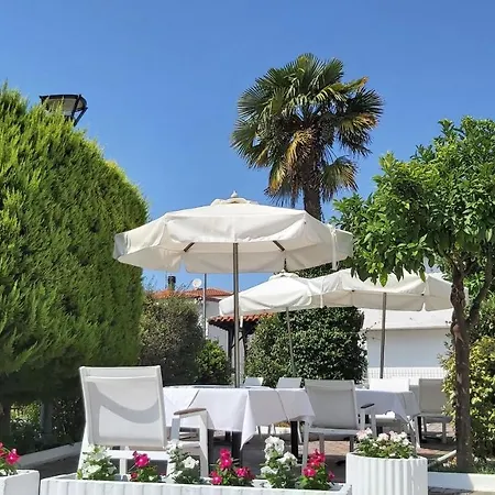 Akrogiali Exclusive (adults Only) 폴리크로노