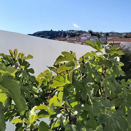 Akrogiali Exclusive (adults Only) 폴리크로노