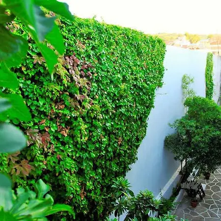 Hotel Akrogiali Exclusive (adults Only) 3*