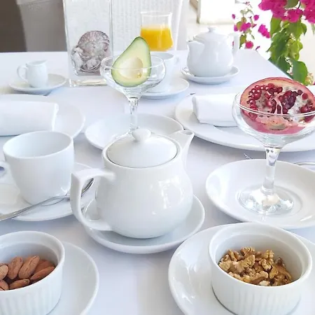 Akrogiali Exclusive (adults Only) Полихроно