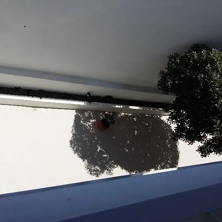 Akrogiali Exclusive (adults Only) Полихроно