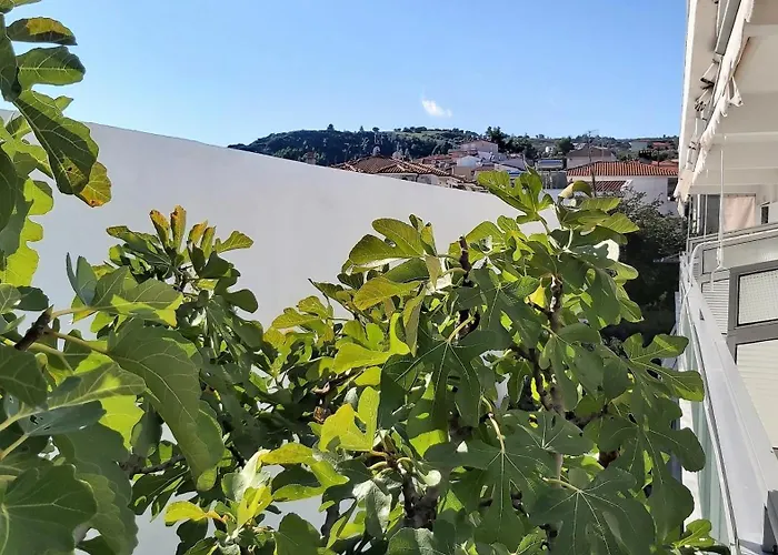 Akrogiali Exclusive (adults Only) Hotel Polychrono