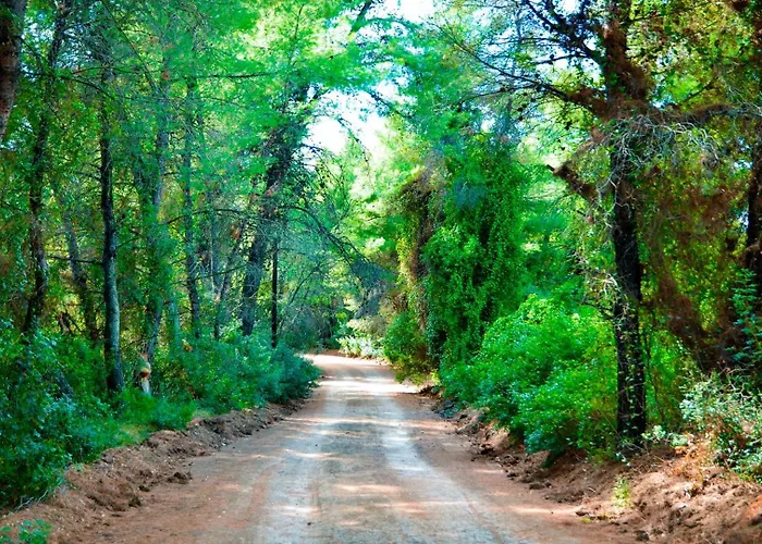 Akrogiali Exclusive (adults Only) 3*